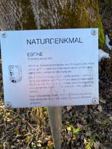 Naturdenkmal Neues Schild 