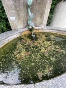Dornbirner Brunnen verschmutzt