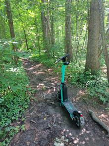 Ein TIER E-Scooter steht im Walde 