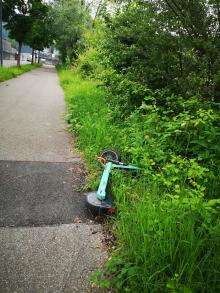 E-Scooter im Gebüsch